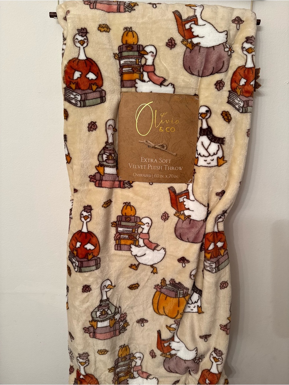 Goose Fall Book Blanket